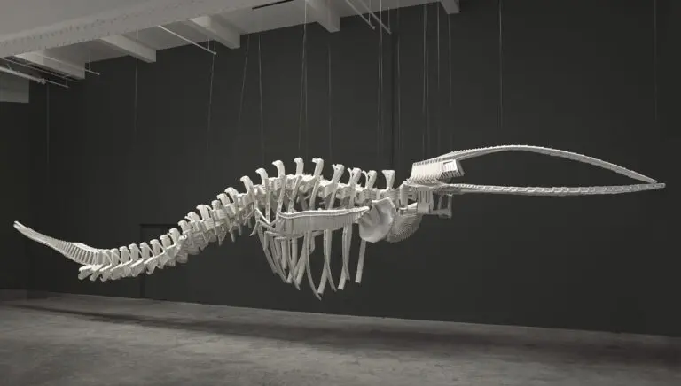 An installation view of Brian Jungen's scultural work Cetology, which looks like a giant whale skeleton hung from the ceiling, but it is actually made up of white plastic chairs.