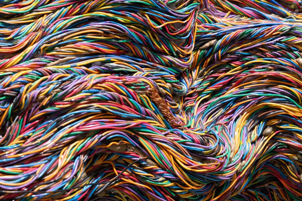 A photographic detail of an artwork by Emily Hermant made up of colourful telecommunication wires.