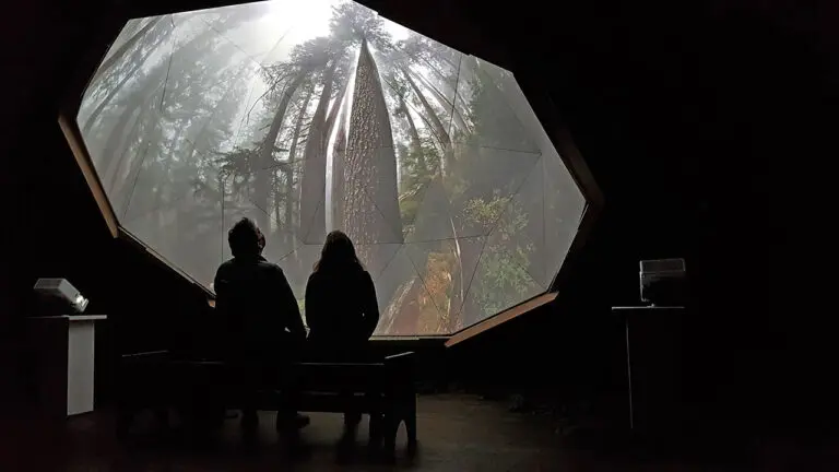 A photograph of two people sitting inside a darkened geodesic dome looking up into the dome, which has trees projected onto it. It is as if the people are looking up at trees from the forest floor as part of an immersive exhibition experience.