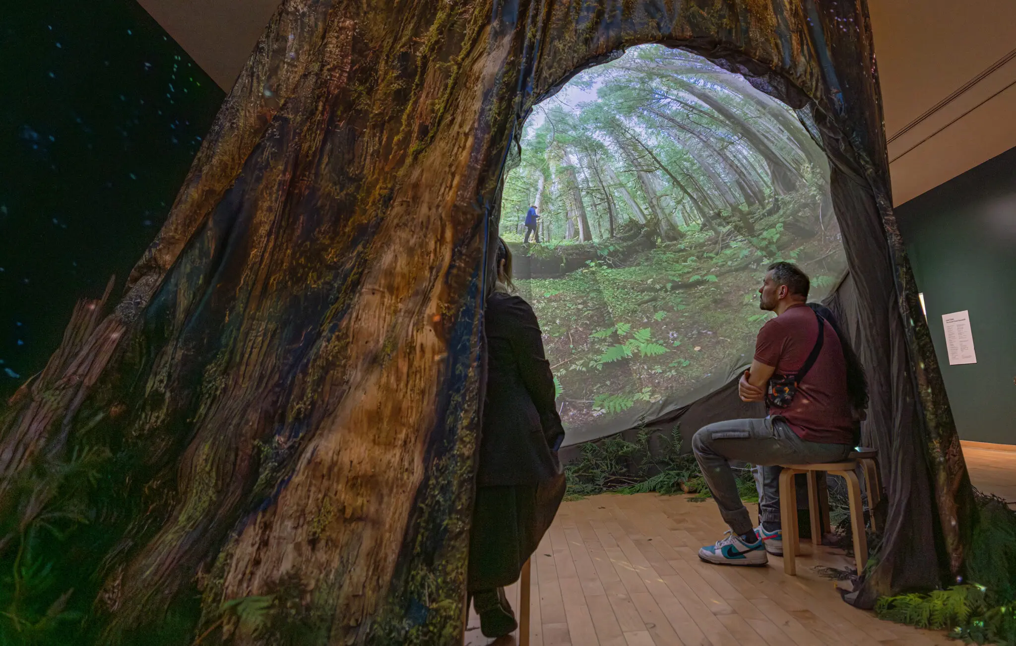 Exhibition: SANCTUARY: The Ancient Forest Experience