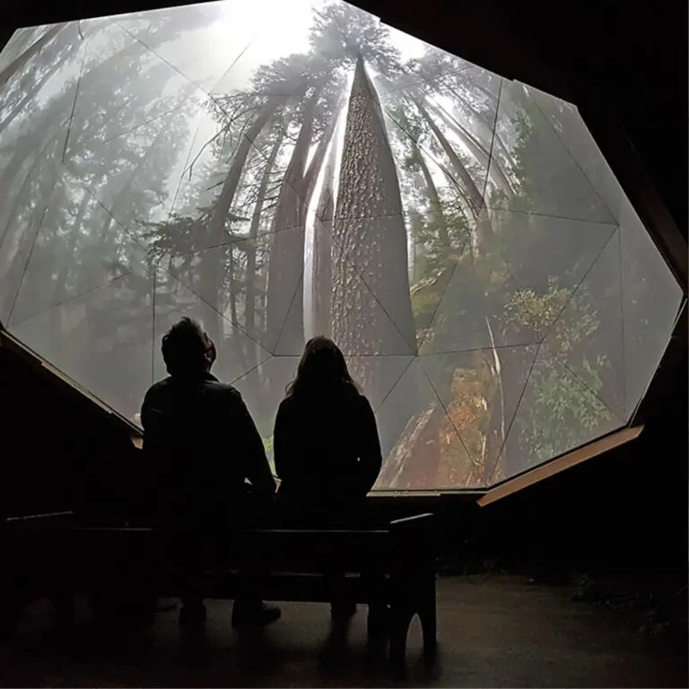 A square photograph of two people sitting inside a darkened geodesic dome looking up into the dome, which has trees projected onto it. It is as if the people are looking up at trees from the forest floor as part of an immersive exhibition experience.