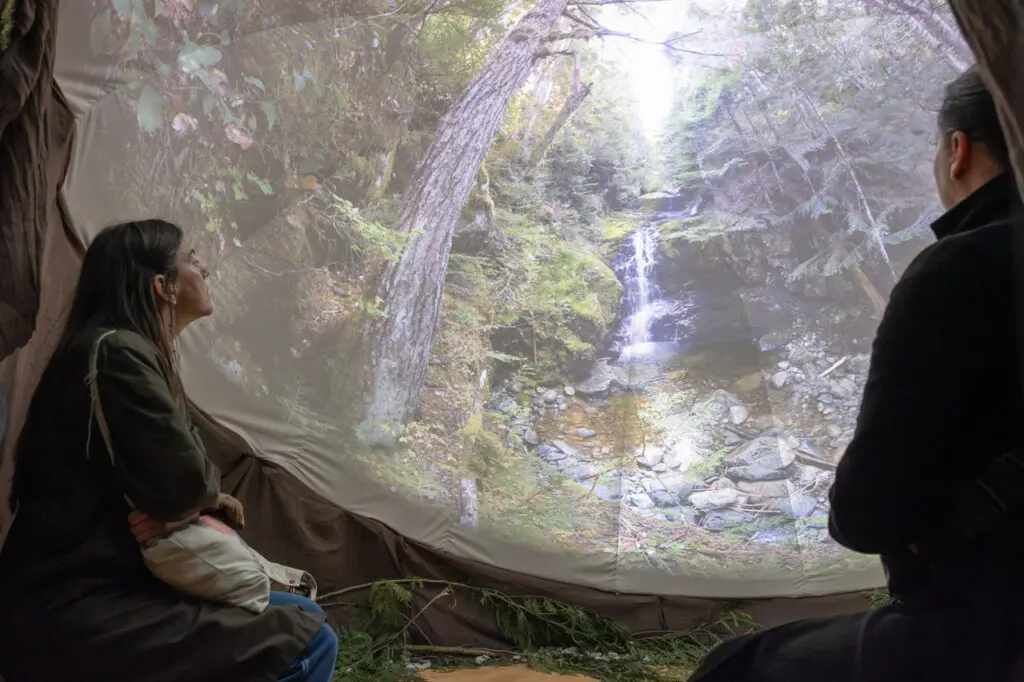 A photograph of a woman sitting inside a dome, upon which a video of the ancient forest is projected.