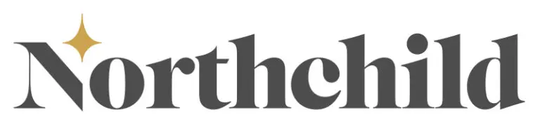 The logo for Northchild in grey with a yellow star over the N