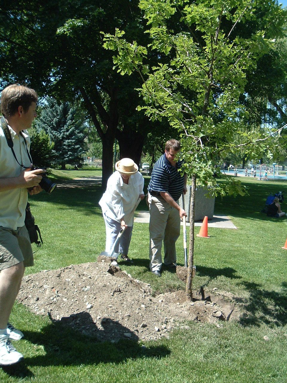 Pedro Reyes tree planting