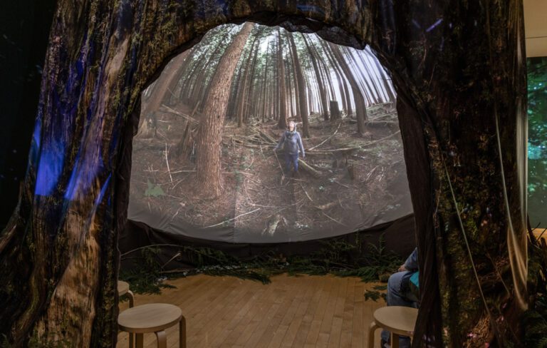 A photograph of looking into a giant replica cedar tree installation. Inside, there is a 360 degree dome playing a film featuring ancient forests. On the screen, there are trees and a woman stands at the centre.