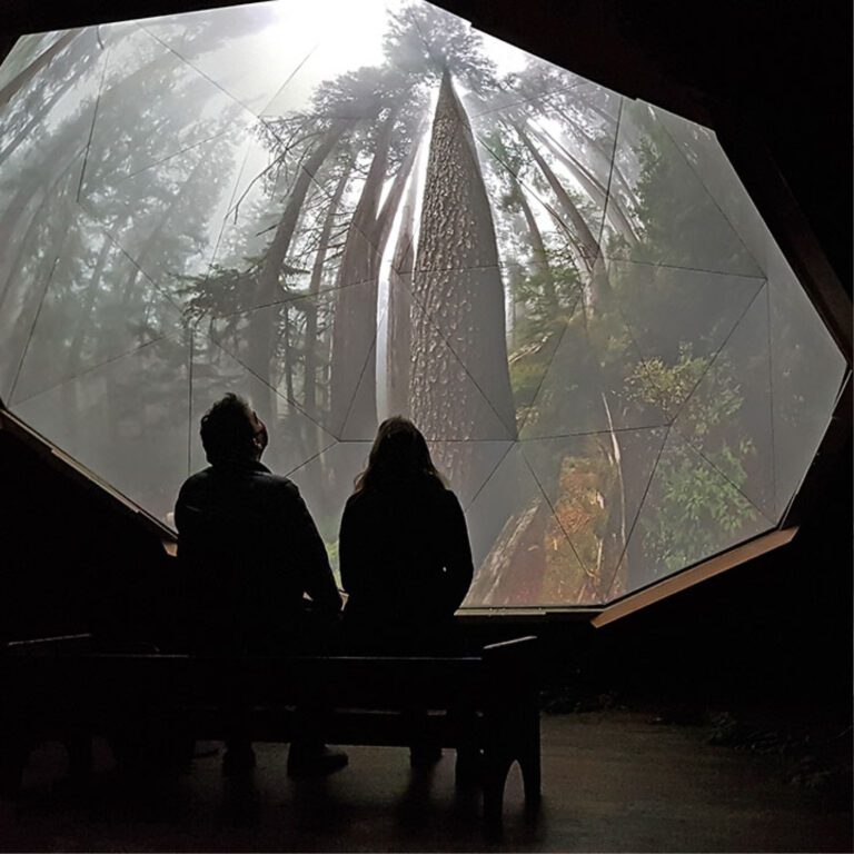A square photograph of two people sitting inside a darkened geodesic dome looking up into the dome, which has trees projected onto it. It is as if the people are looking up at trees from the forest floor as part of an immersive exhibition experience.