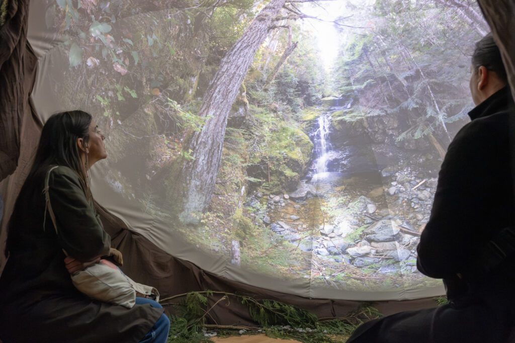 A photograph of a woman sitting inside a dome, upon which a video of the ancient forest is projected.